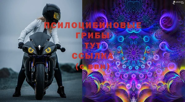 молекула духа Армянск