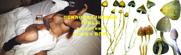молекула духа Армянск