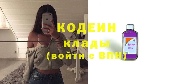 амф Пересвет