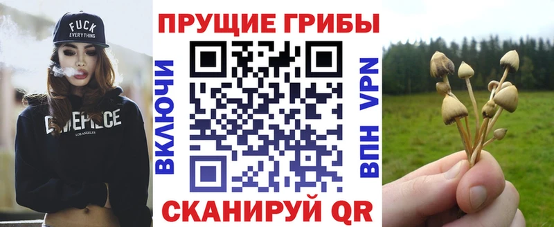 KRAKEN   как найти   Углич  Галлюциногенные грибы Magic Shrooms 